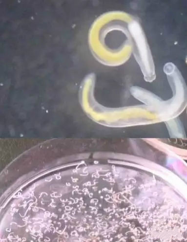 凈水器租賃 凈水器租賃