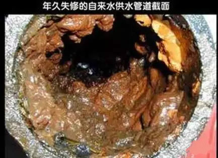 凈水器租賃 凈水器租賃