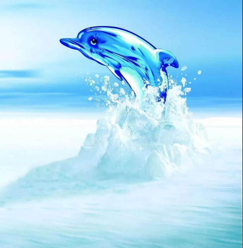 浩澤凈水器 浩澤凈水器