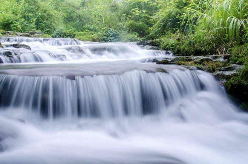 凈水器租賃 凈水器租賃